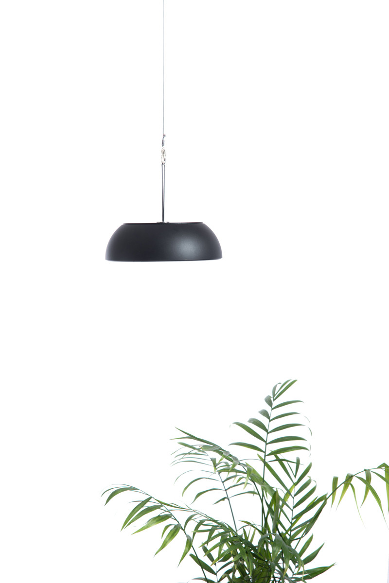 Float Axolight