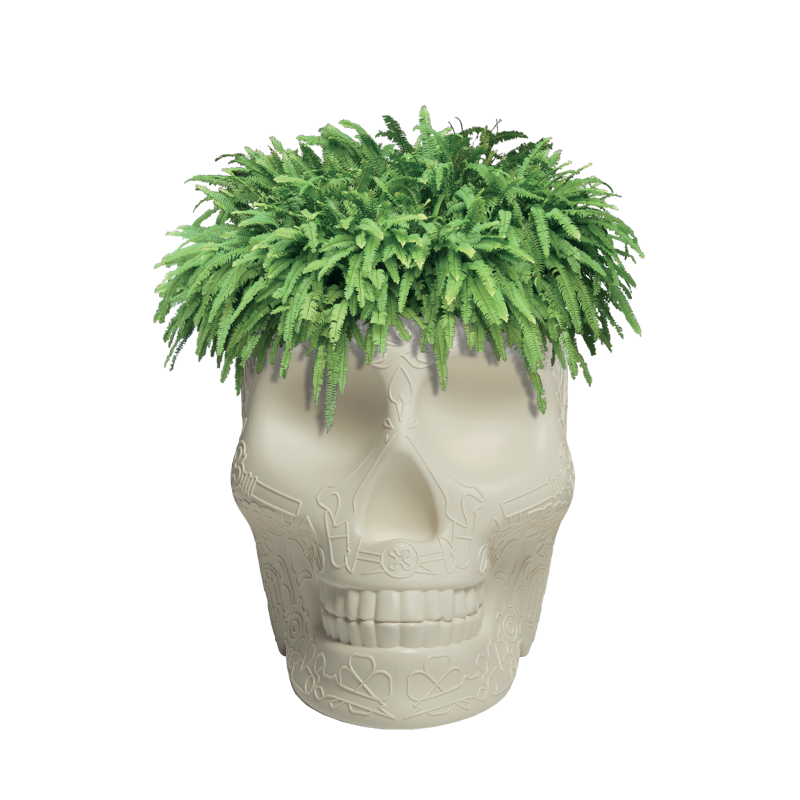 MEXICO PLANTER AND CHAMPAGNE COOLER Qeeboo