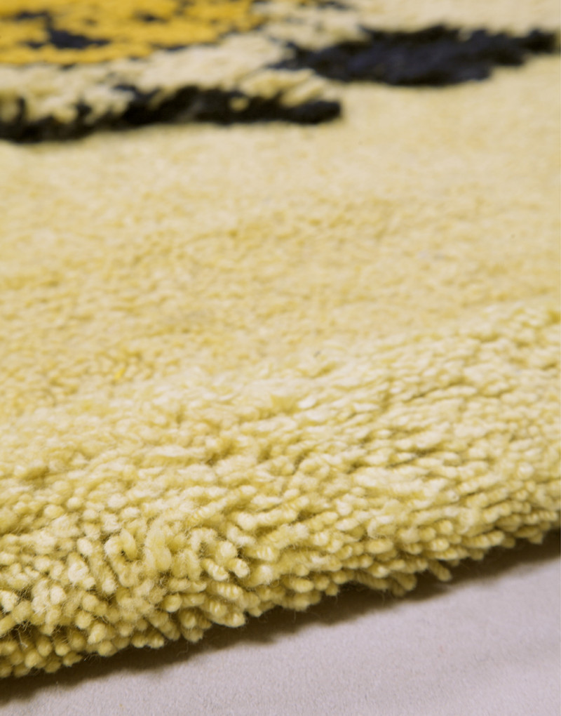 Tapileo Amini Carpets