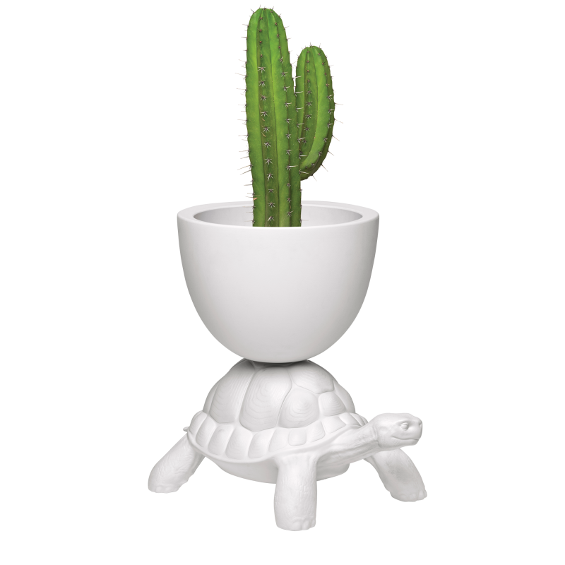 TURTLE CARRY PLANTER AND CHAMPAGNE COOLER Qeeboo