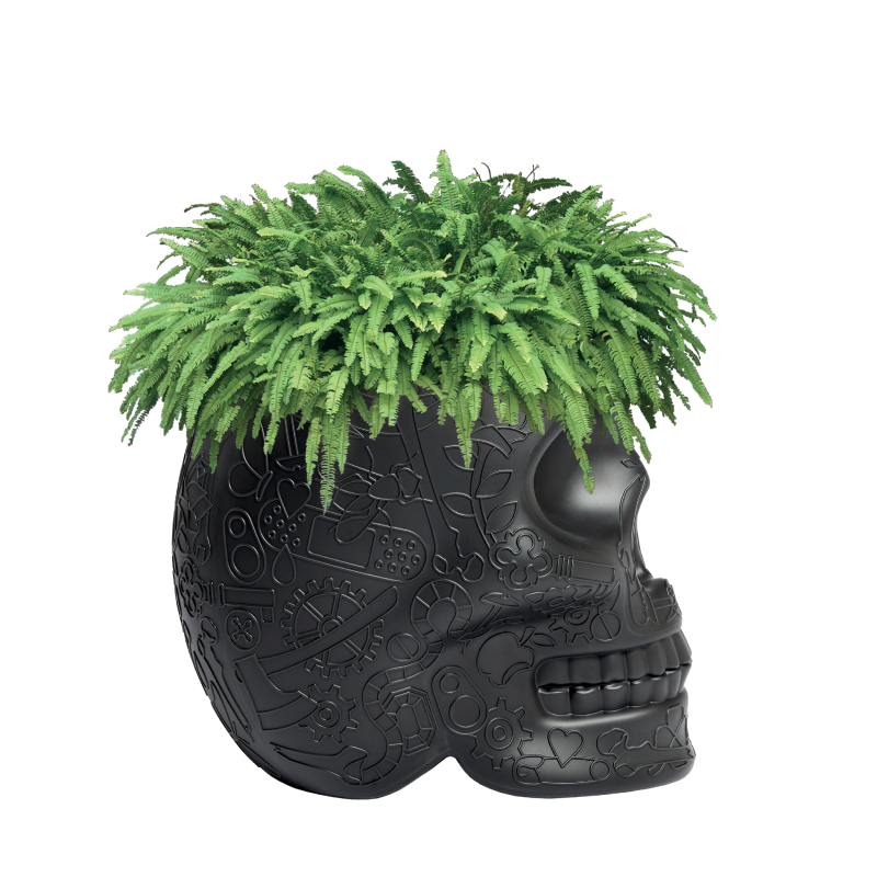 MEXICO PLANTER AND CHAMPAGNE COOLER Qeeboo