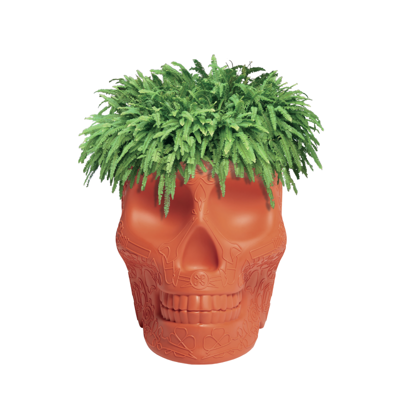 MEXICO PLANTER AND CHAMPAGNE COOLER Qeeboo