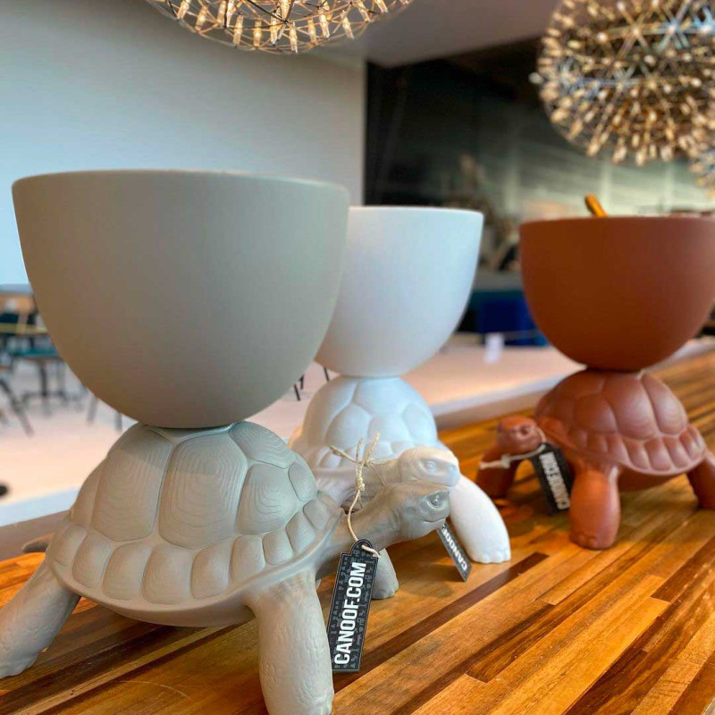 TURTLE CARRY PLANTER AND CHAMPAGNE COOLER Qeeboo