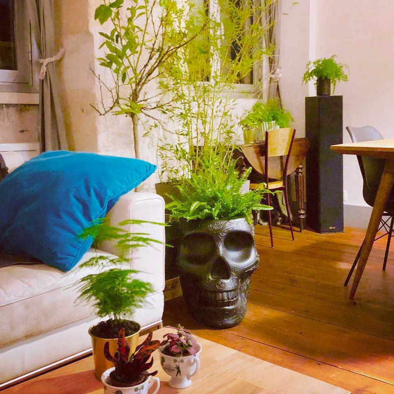 MEXICO PLANTER AND CHAMPAGNE COOLER Qeeboo