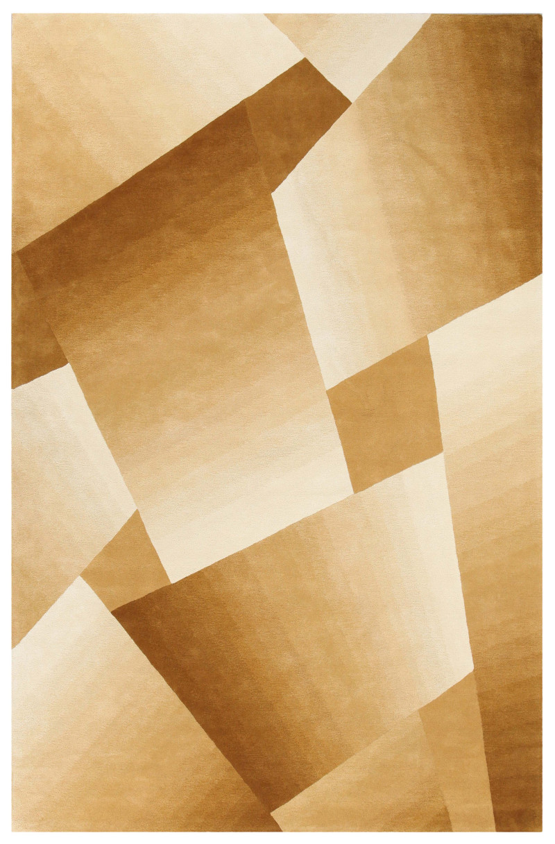 RD Perspective Amini Carpets