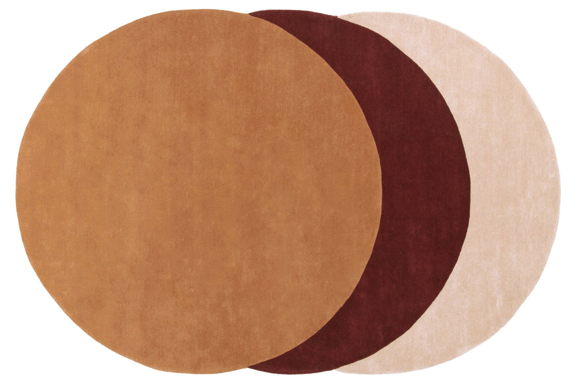 Teorema Circles Amini Carpets