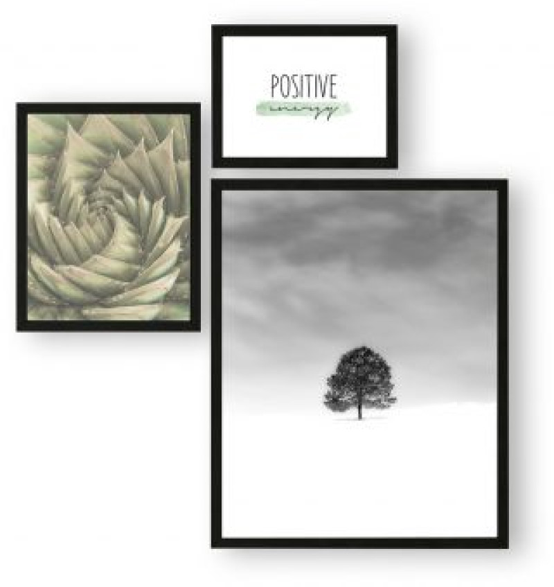 Forest XS Tomasella