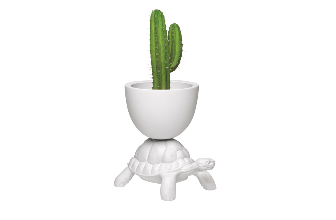 TURTLE CARRY PLANTER AND CHAMPAGNE COOLER Qeeboo