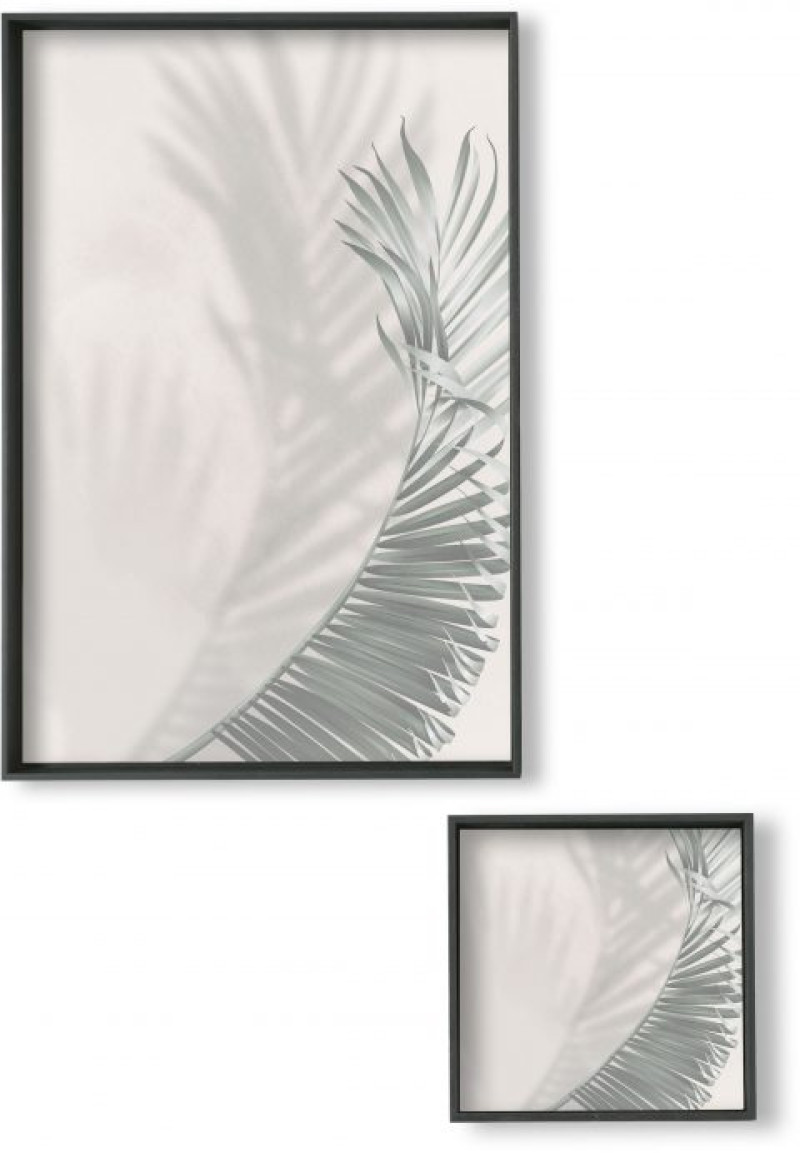 Leaf Tomasella