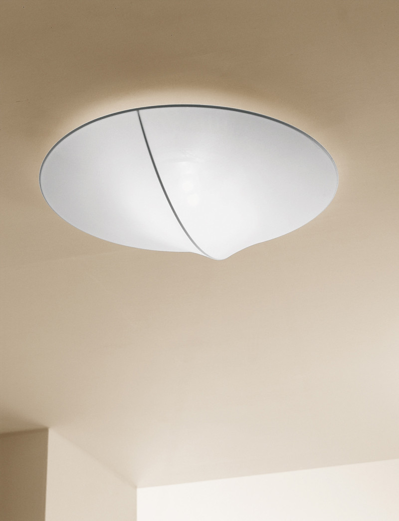 Nelly Axolight