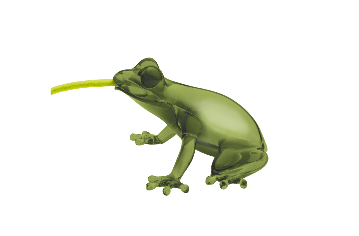 HUNGRY FROG Qeeboo